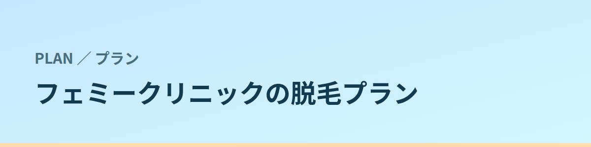 フェミークリニックに「都度払い」のプランはあるか