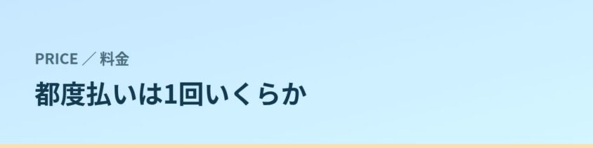 1回いくら?ヴァージンクリニックの都度払い料金